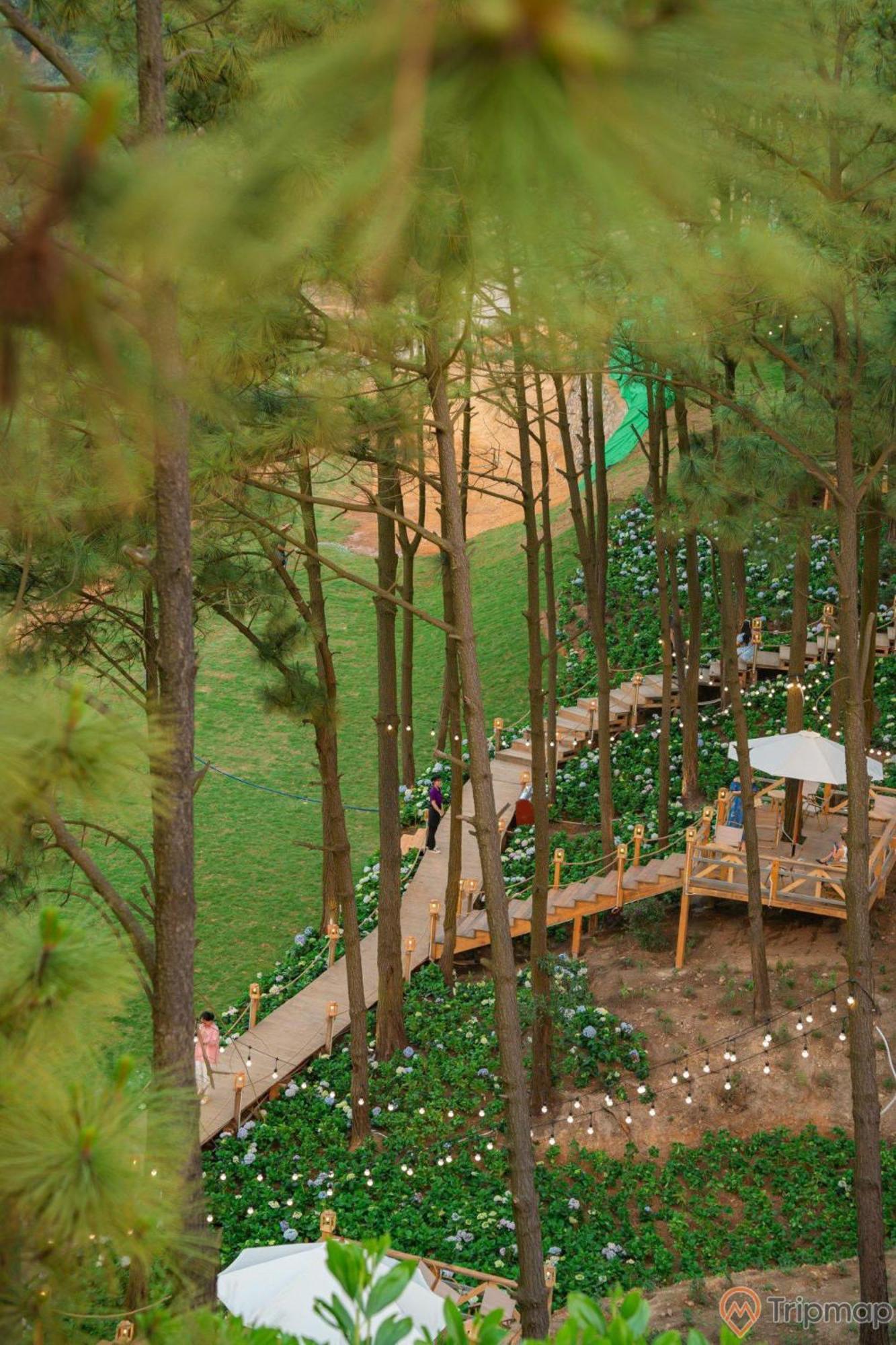 Nha Nghi Anh Dung Bed & Breakfast Ha Long Luaran gambar